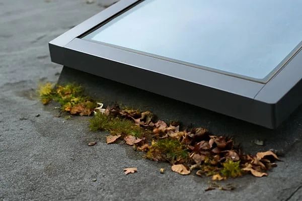 Top Skylight Maintenance Tips for Longevity